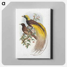 1-18_John-Gould_canvas
