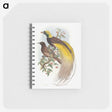 1-18_John-Gould_memo