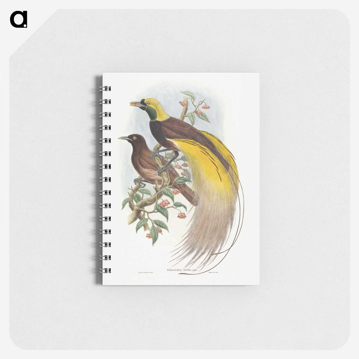 1-18_John-Gould_memo