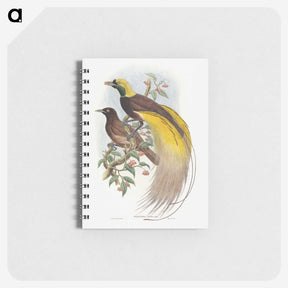 1-18_John-Gould_memo