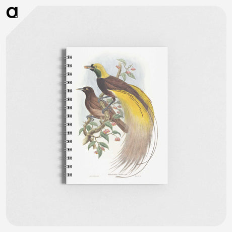 1-18_John-Gould_memo