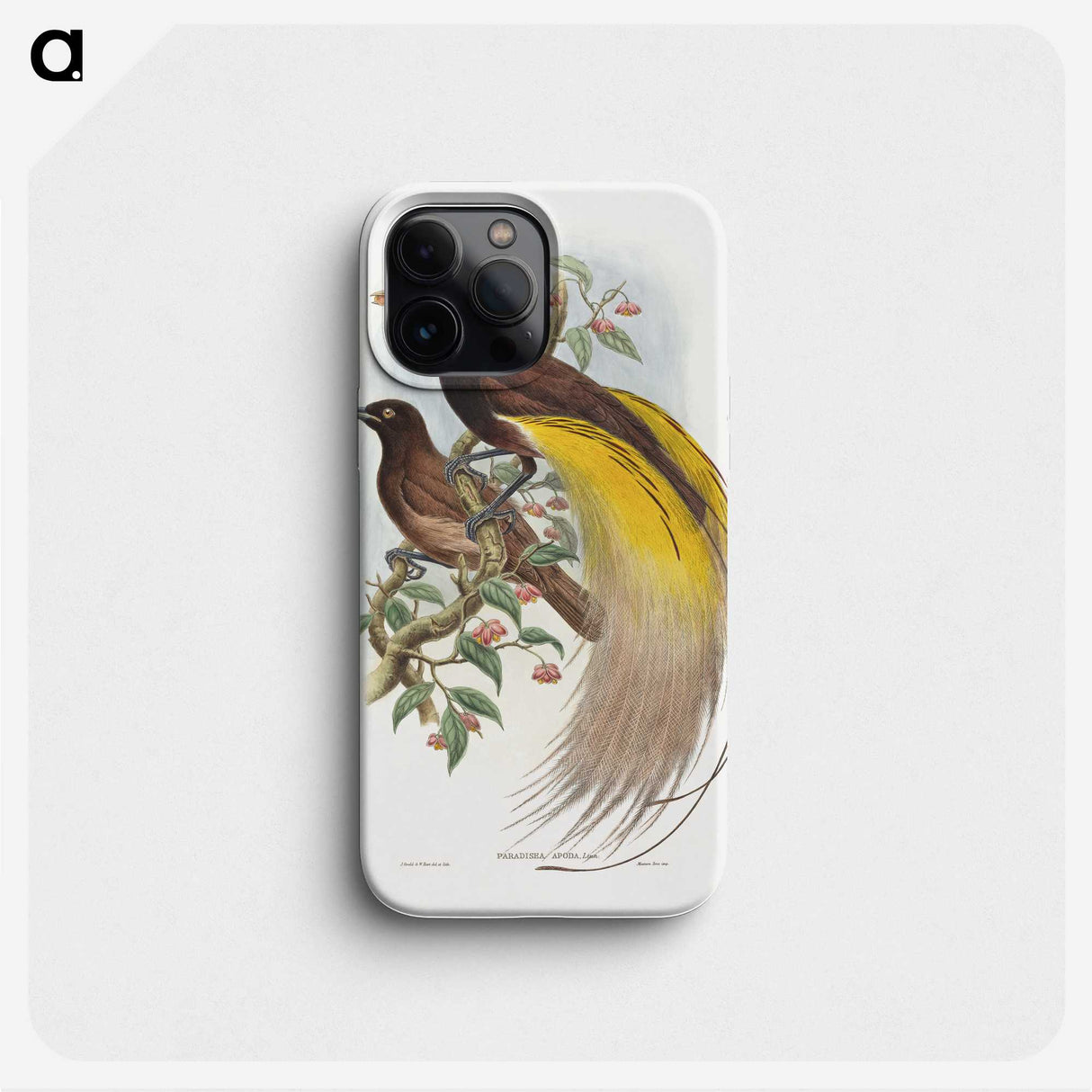 1-18_John-Gould_phone