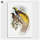 1-18_John-Gould_picture-crop