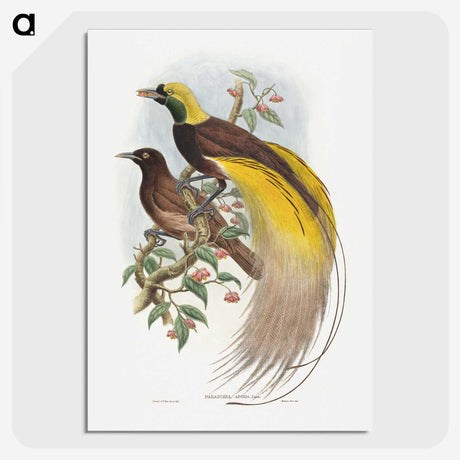 1-18_John-Gould_picture-crop