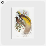 1-18_John-Gould_postcard