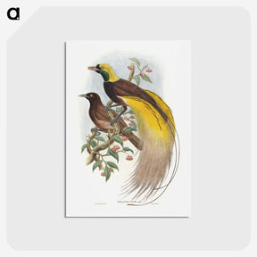 1-18_John-Gould_postcard
