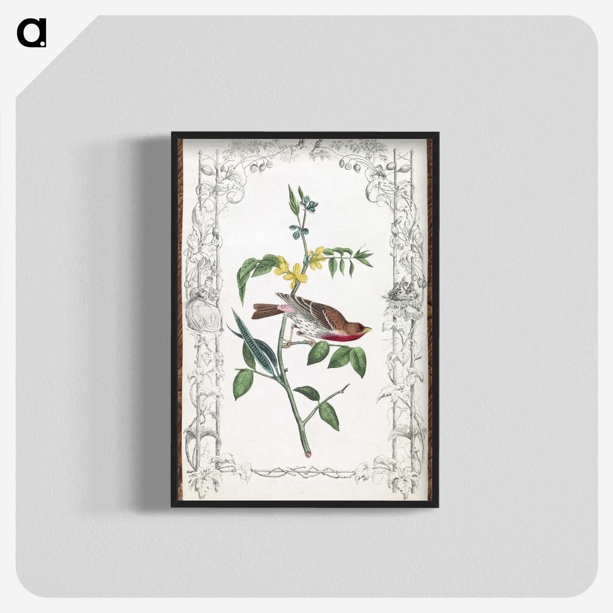 1-18_John-James-Audubon_blk-crop