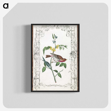 1-18_John-James-Audubon_blk-crop