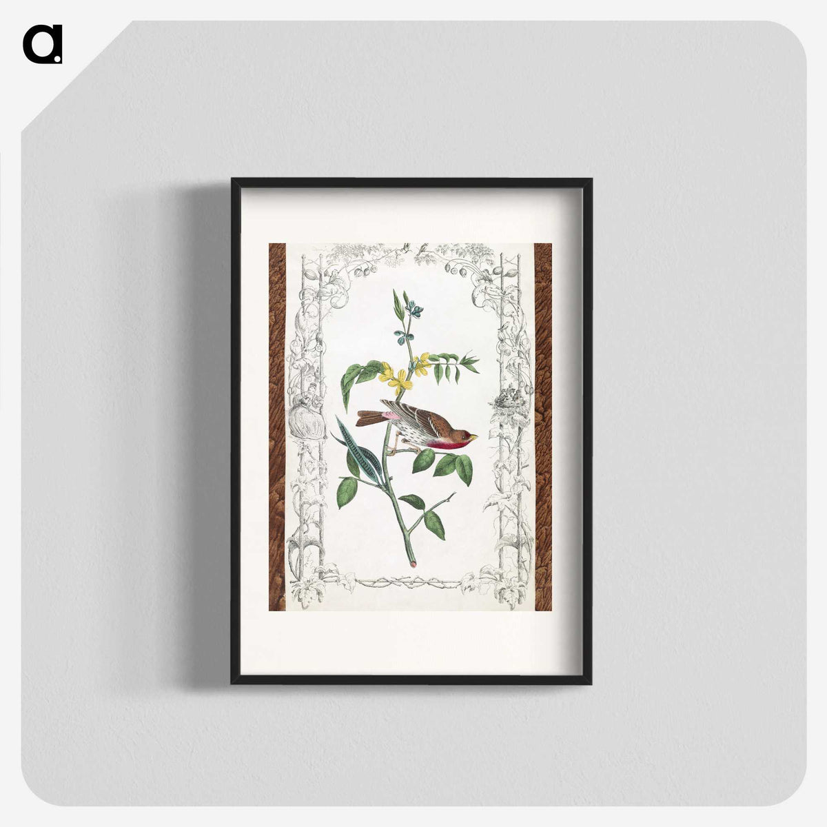 1-18_John-James-Audubon_blk