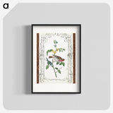 1-18_John-James-Audubon_blk