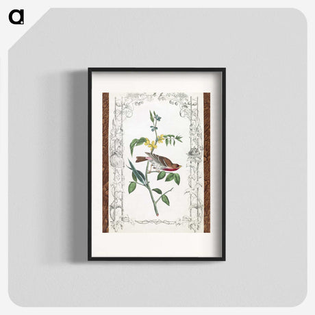 1-18_John-James-Audubon_blk