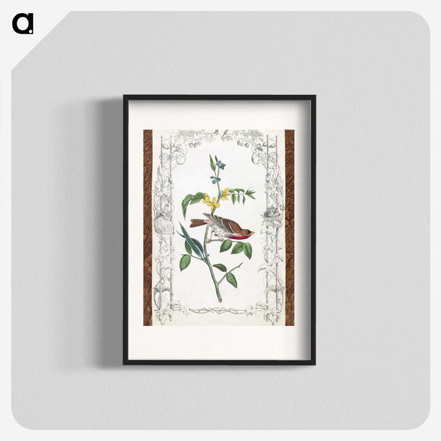 1-18_John-James-Audubon_blk