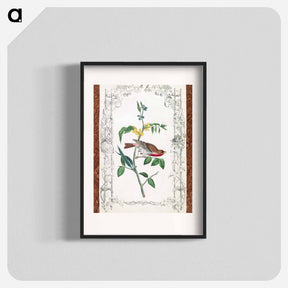 アートポスター-Crimson Fronted Purple Finch
 - ジョン ジェームス オーデュボン Poster.