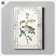1-18_John-James-Audubon_canvas