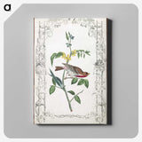 1-18_John-James-Audubon_canvas