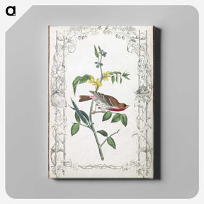 1-18_John-James-Audubon_canvas