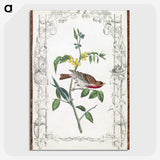 1-18_John-James-Audubon_picture-crop