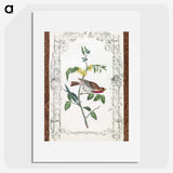 1-18_John-James-Audubon_picture