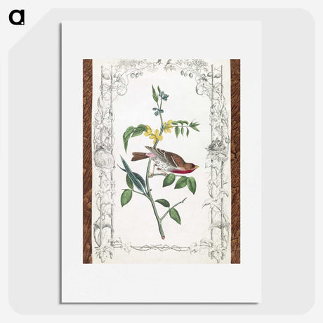 1-18_John-James-Audubon_picture