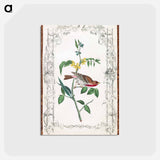 アートポストカード-Crimson Fronted Purple Finch
 - ジョン ジェームス オーデュボン Postcard.