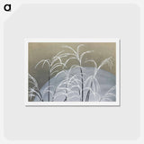 アートポストカード-Frost from Momoyogusa–Flowers of a Hundred Generations - 神坂 雪佳 Postcard.