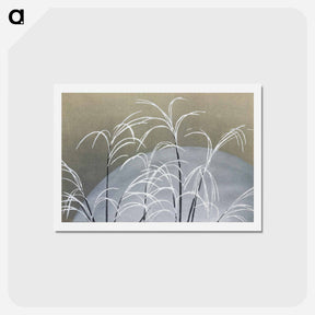アートポストカード-Frost from Momoyogusa–Flowers of a Hundred Generations - 神坂 雪佳 Postcard.