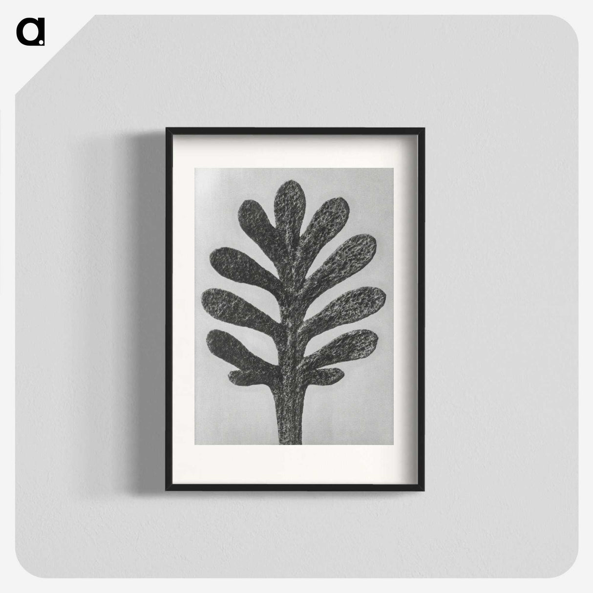 1-18_Karl-Blossfeldt_blk