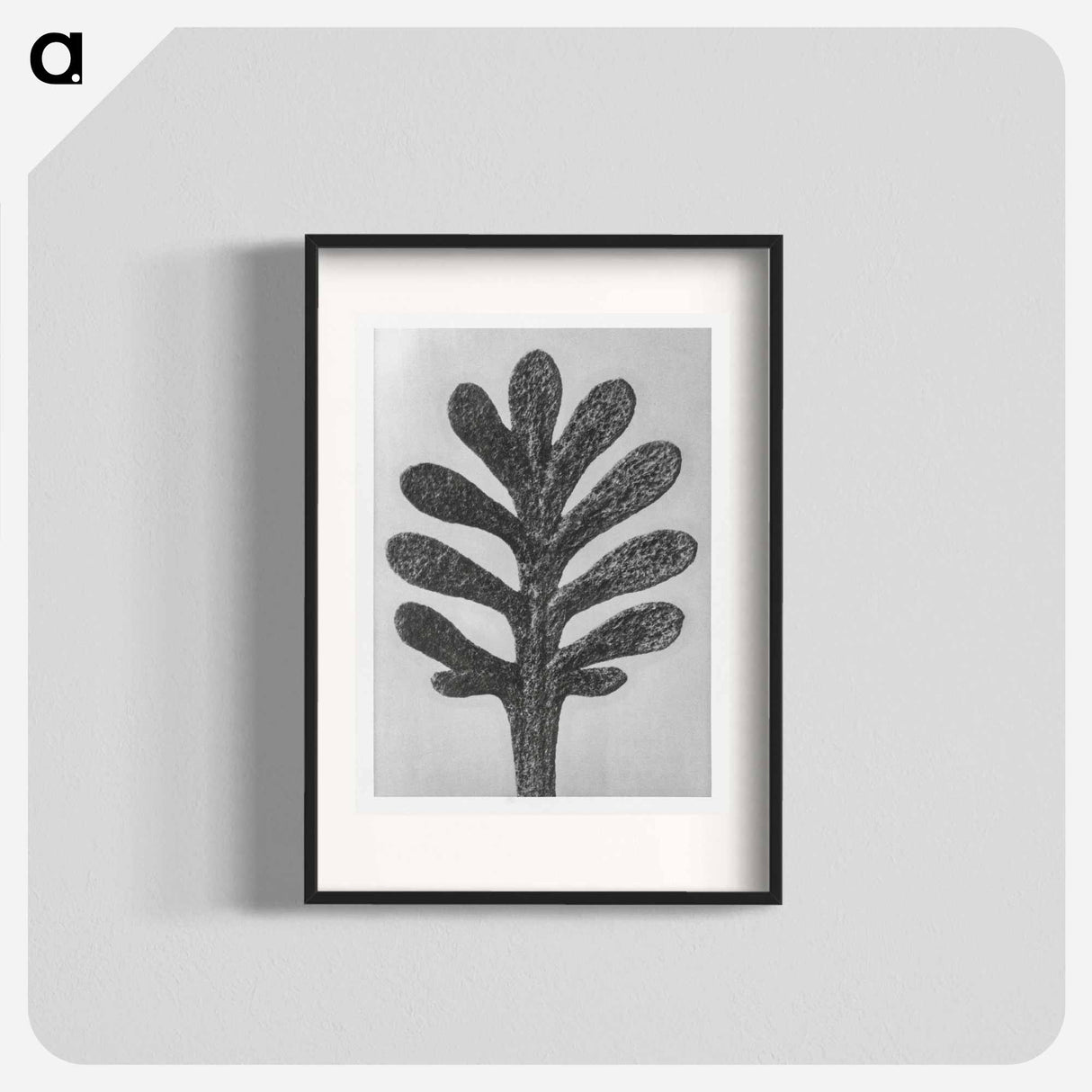 Achillea Umbellata (Yarrow) leaf enlarged 30 times - Karl Blossfeldt Poster.