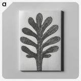 1-18_Karl-Blossfeldt_canvas