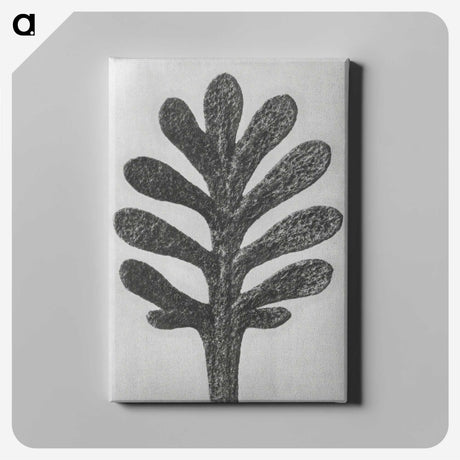 1-18_Karl-Blossfeldt_canvas