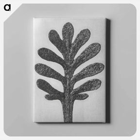 アートパネル-Achillea Umbellata (Yarrow) leaf enlarged 30 times - カール ブロスフェルト Canvas.
