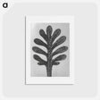 アートポストカード-Achillea Umbellata (Yarrow) leaf enlarged 30 times - カール ブロスフェルト Postcard.