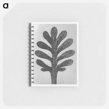 Achillea Umbellata (Yarrow) leaf enlarged 30 times - カール ブロスフェルト Memo.