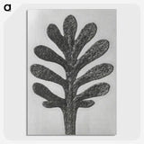 1-18_Karl-Blossfeldt_picture-crop