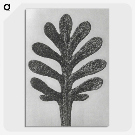 1-18_Karl-Blossfeldt_picture-crop