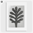 1-18_Karl-Blossfeldt_picture