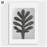 1-18_Karl-Blossfeldt_picture