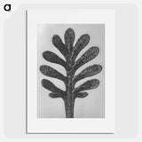 アートポスター-Achillea Umbellata (Yarrow) leaf enlarged 30 times - カール ブロスフェルト Poster.