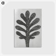 1-18_Karl-Blossfeldt_postcard