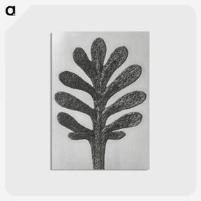 1-18_Karl-Blossfeldt_postcard