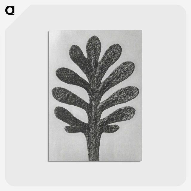 1-18_Karl-Blossfeldt_postcard