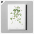 1-18_La-Botanique_canvas