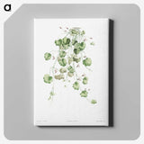 1-18_La-Botanique_canvas
