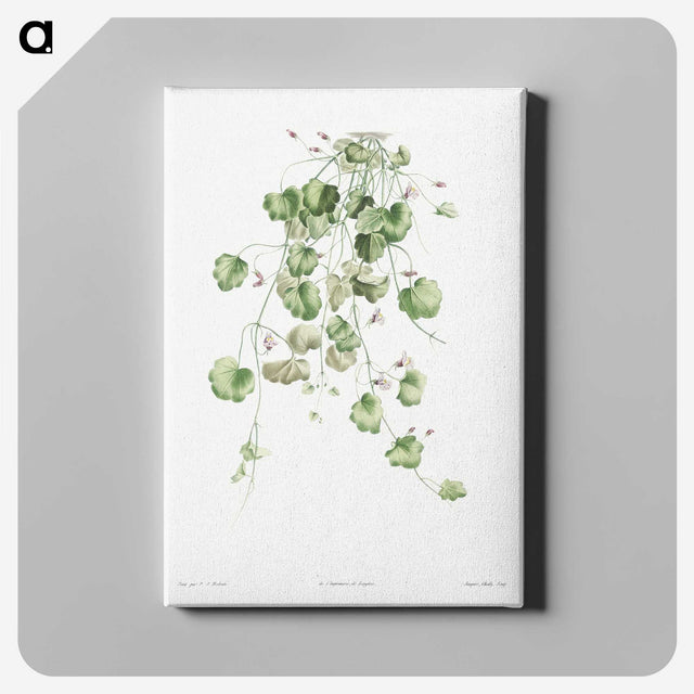 1-18_La-Botanique_canvas