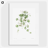 1-18_La-Botanique_picture