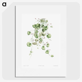 1-18_La-Botanique_picture