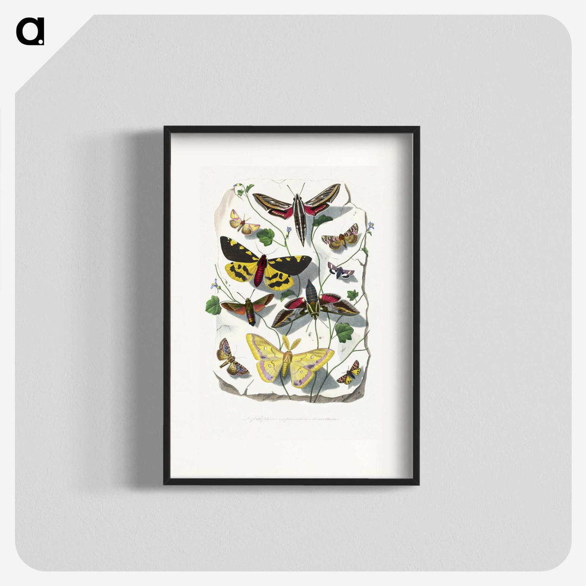 1-18_Le-Jardin-des-Plantes_blk