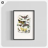1-18_Le-Jardin-des-Plantes_blk