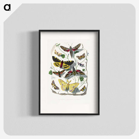 1-18_Le-Jardin-des-Plantes_blk