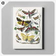 1-18_Le-Jardin-des-Plantes_canvas